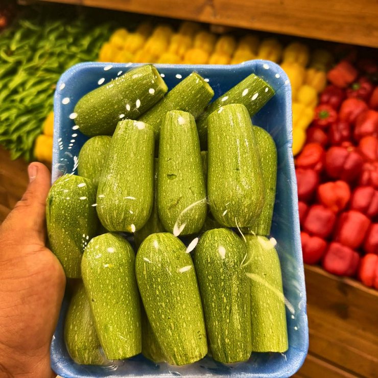 كوسا بلدي مقور